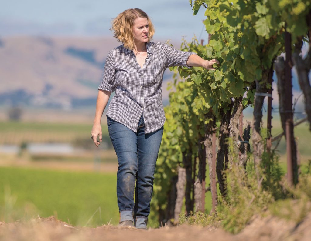 Chris Kajani at Bouchaine Vineyards