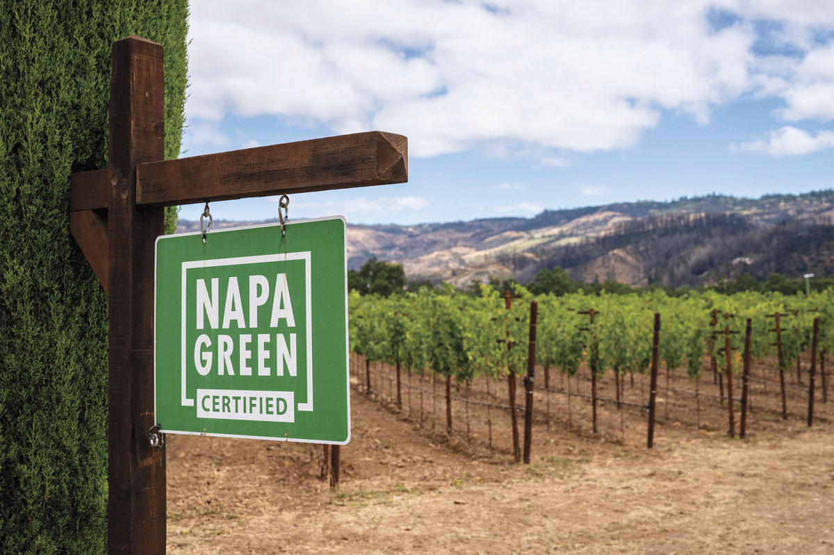 Napa Green