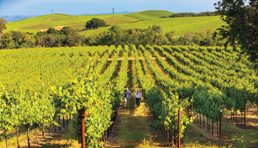 Mumm Napa